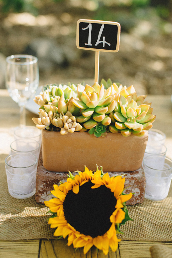 succulent and sunflower centerpiece @weddingchicks