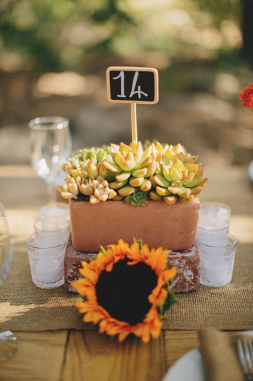 i-belong-with-you-wedding