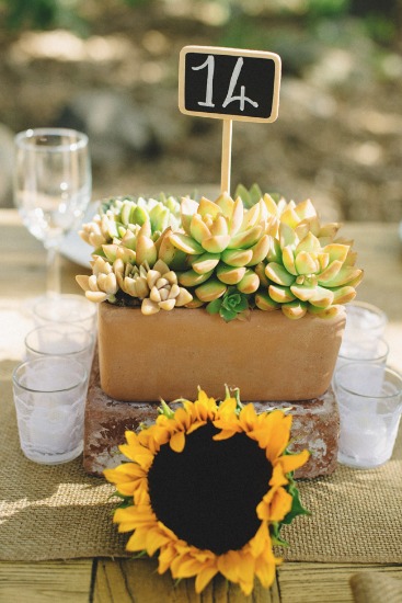 i-belong-with-you-wedding