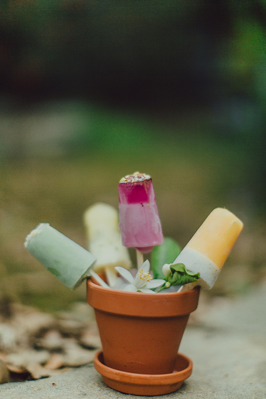 Popsicles in terra cotta pot with flowers outdoors