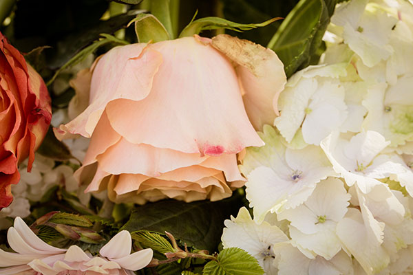 love-me-tender-wedding