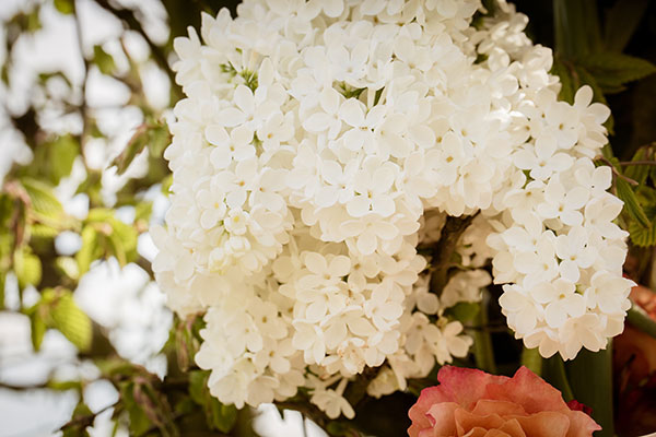 love-me-tender-wedding