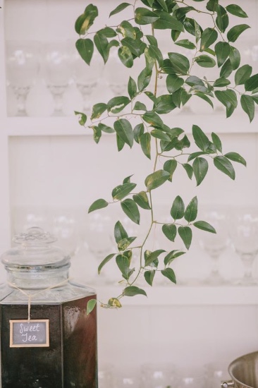 natural-embrace-wedding