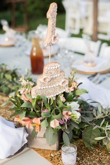 pink-and-gold-university-wedding