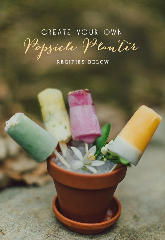 Colorful homemade popsicles in a flowerpot planter recipe