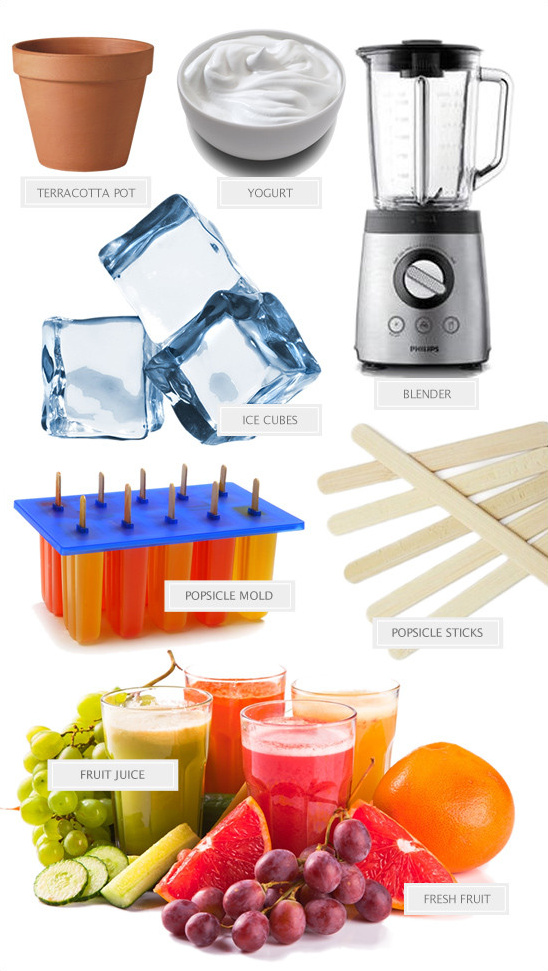 DIY popsicle ingredients blender yogurt fruit juice mold