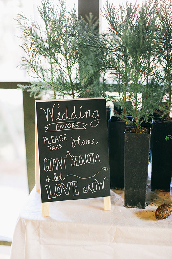 Wedding favors encouraging guests to take home sequoia tree saplings