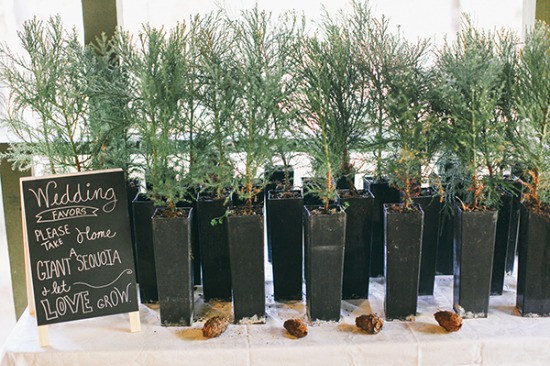 quaint-little-wedding-in-the-woods