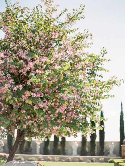 romantic-arizona-castle-wedding