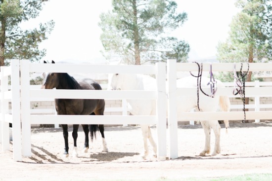 romantic-ranch-wedding-in-nevada