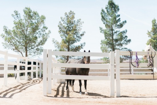romantic-ranch-wedding-in-nevada