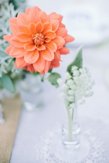 sweet-rustic-charm-wedding