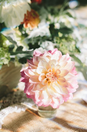 sweet-rustic-charm-wedding
