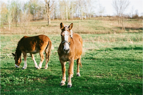 best-barn-wedding-ever