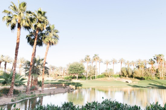 colorful-palm-springs-wedding