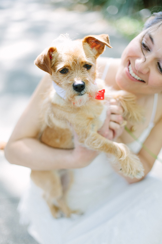 Bride holding her adorable terrier mix puppy smiling