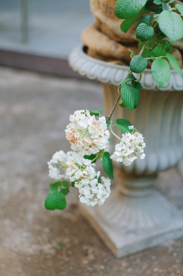 comfortable-and-authentic-wedding
