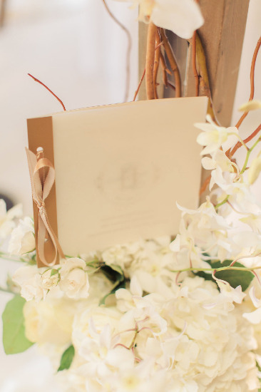 elegant-blush-and-ivory-wedding