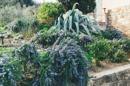 heirloom-garden-wedding-ideas-in-tuscany