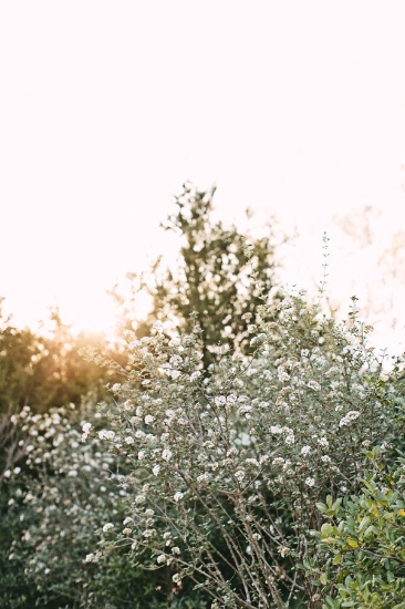 light-and-romantic-wedding