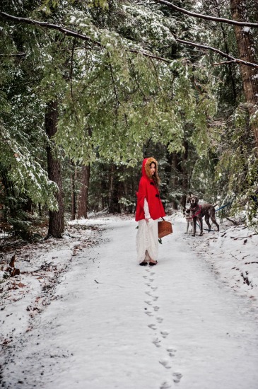 magic-in-the-woods-wedding