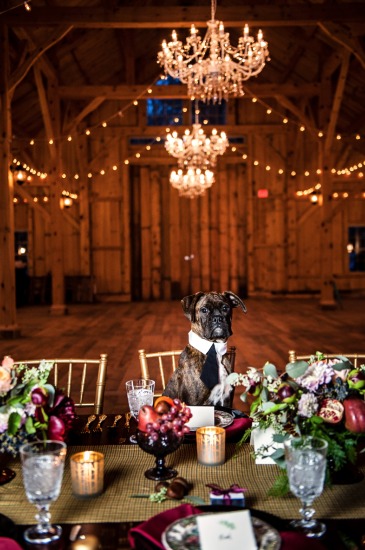 magic-in-the-woods-wedding
