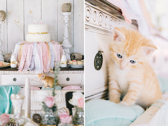 kitten on the cake table @weddingchicks