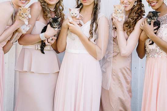 bridesmaids with kittens @weddingchicks