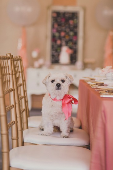 pink-wedding-ideas