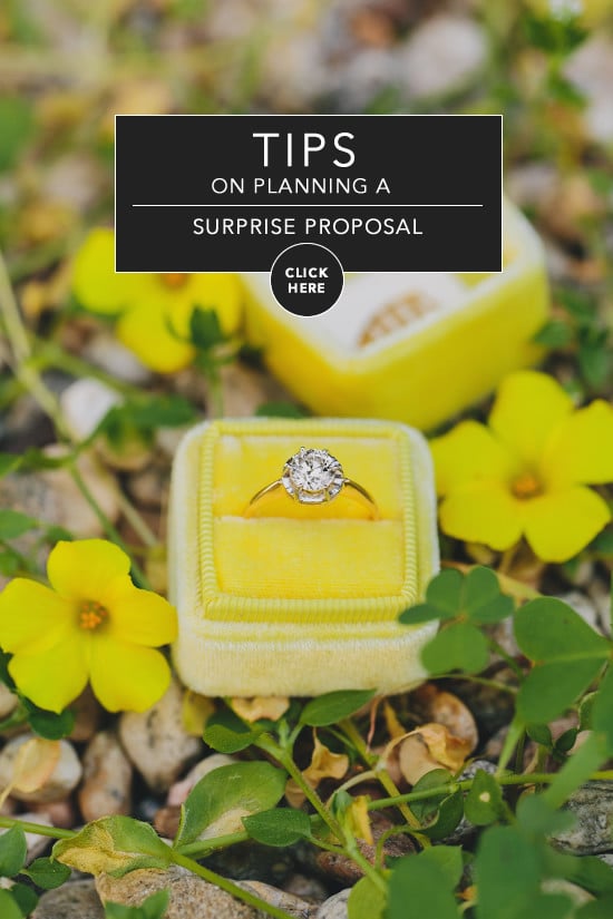 Planning A Surprise Proposal Tips