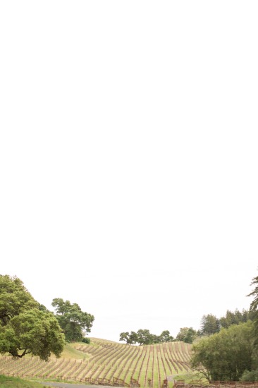 romantic-wine-country-wedding