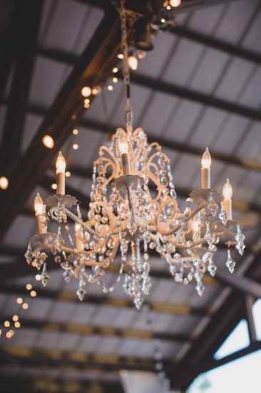 southern-comfort-at-the-zoo-wedding