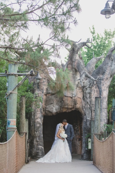 southern-comfort-at-the-zoo-wedding