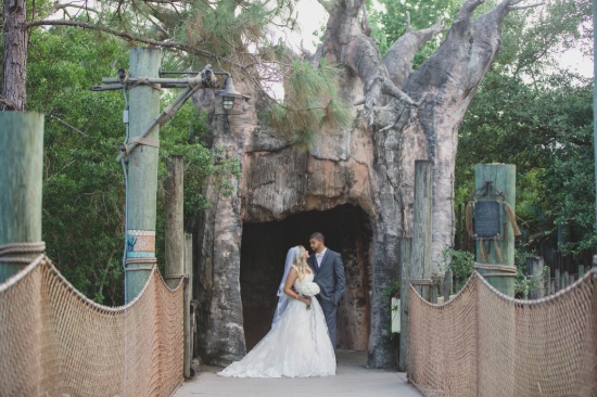 southern-comfort-at-the-zoo-wedding