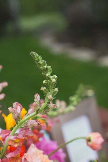 summer-blossoms-wedding-inspiration