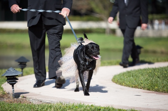 timeless-black-and-white-wedding