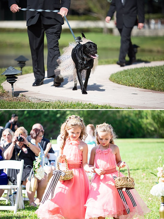 flower girls and wedding dog @weddingchicks