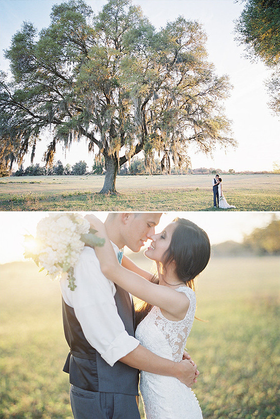 Wedding couple kissing under a large oak tree in a field
