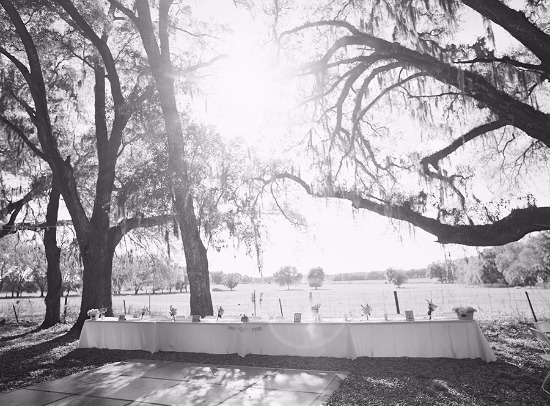 white-and-teal-wedding-in-florida