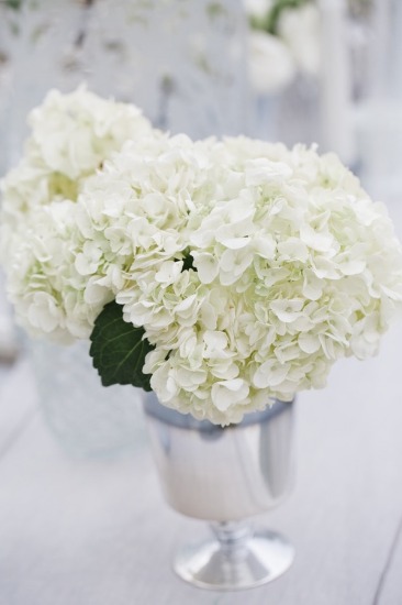 white-silver-and-gold-wedding-ideas