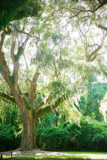 a-masterpiece-wedding-in-south-carolina