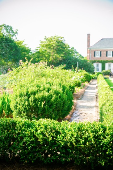a-masterpiece-wedding-in-south-carolina