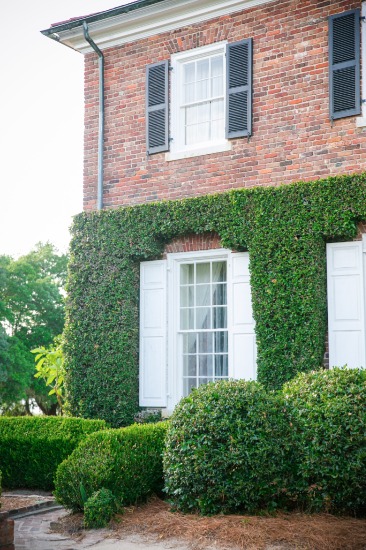 a-masterpiece-wedding-in-south-carolina