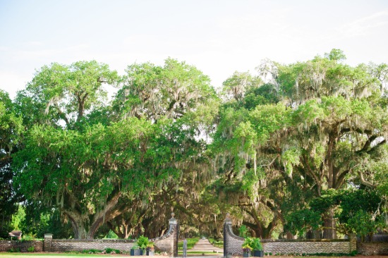 a-masterpiece-wedding-in-south-carolina