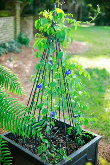 a-masterpiece-wedding-in-south-carolina