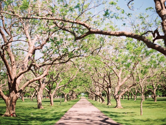 a-perfect-ten-texas-wedding