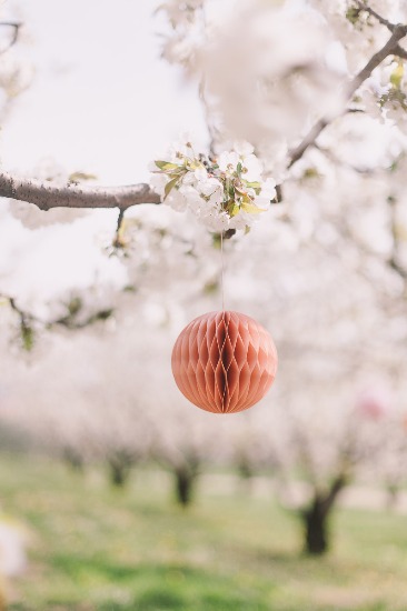 blossoming-romance-in-northern-italy