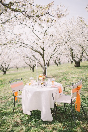 blossoming-romance-in-northern-italy