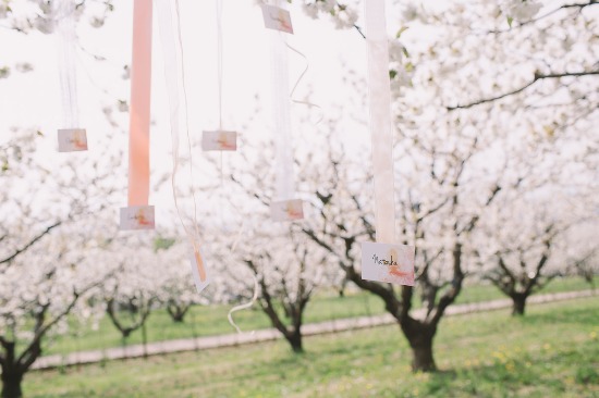 blossoming-romance-in-northern-italy