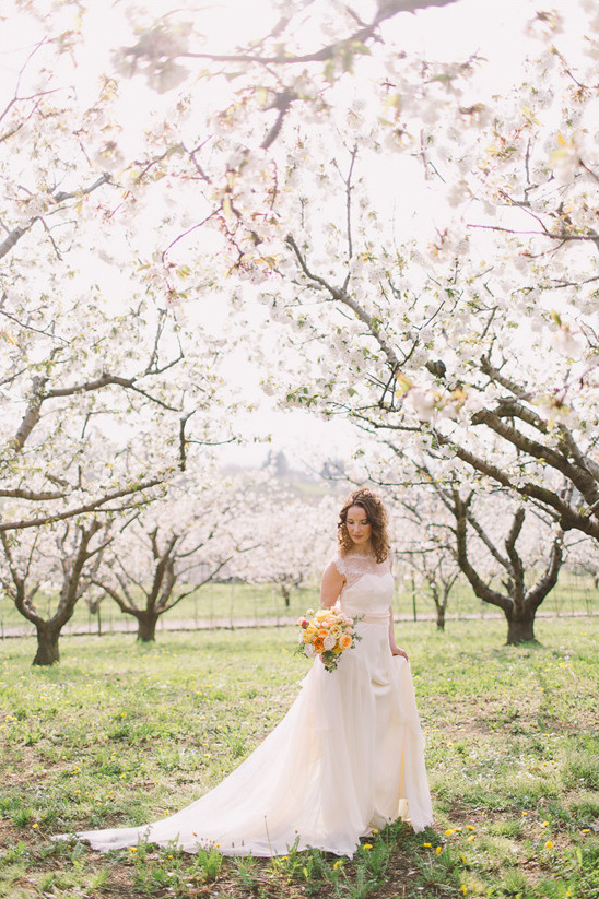 Blossoming Romance in Northern Italy